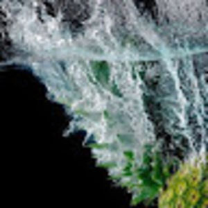 Meet your Posher, Sylvia